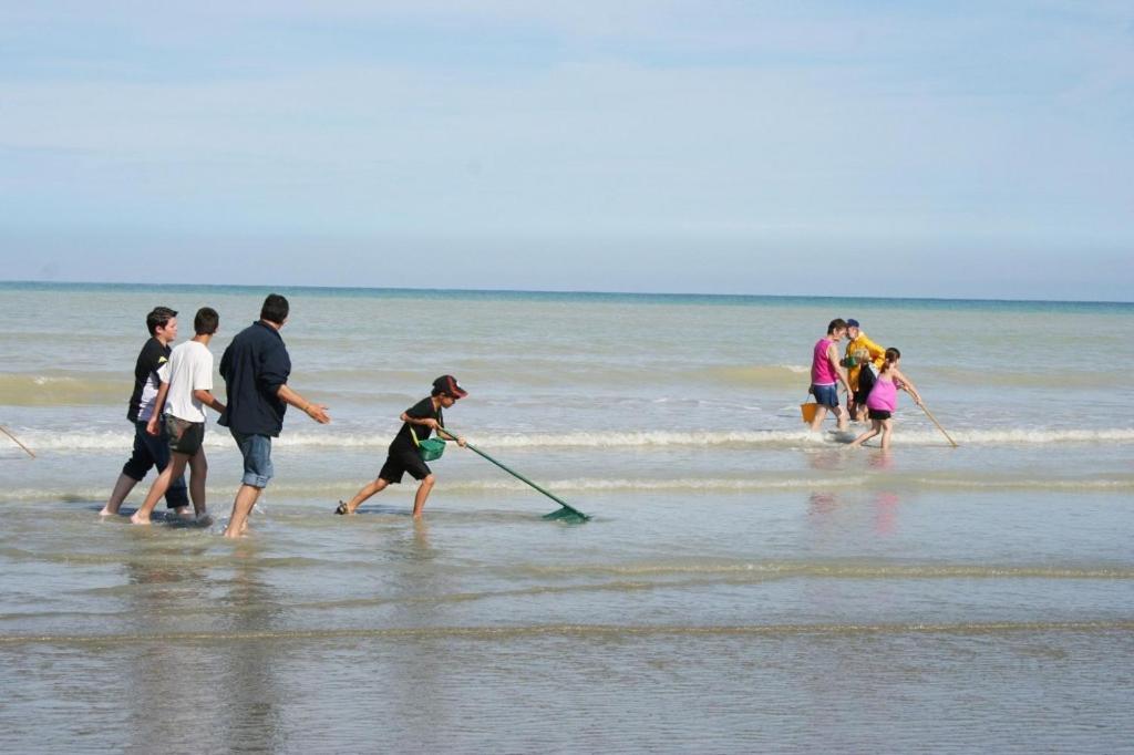 מרס-לה-באן "Le Juguili" 46M2 En Front De Mer - 4 Personnes - Animaux Ok - Entierement Renove - Haut De Gamme - Wifi מראה חיצוני תמונה