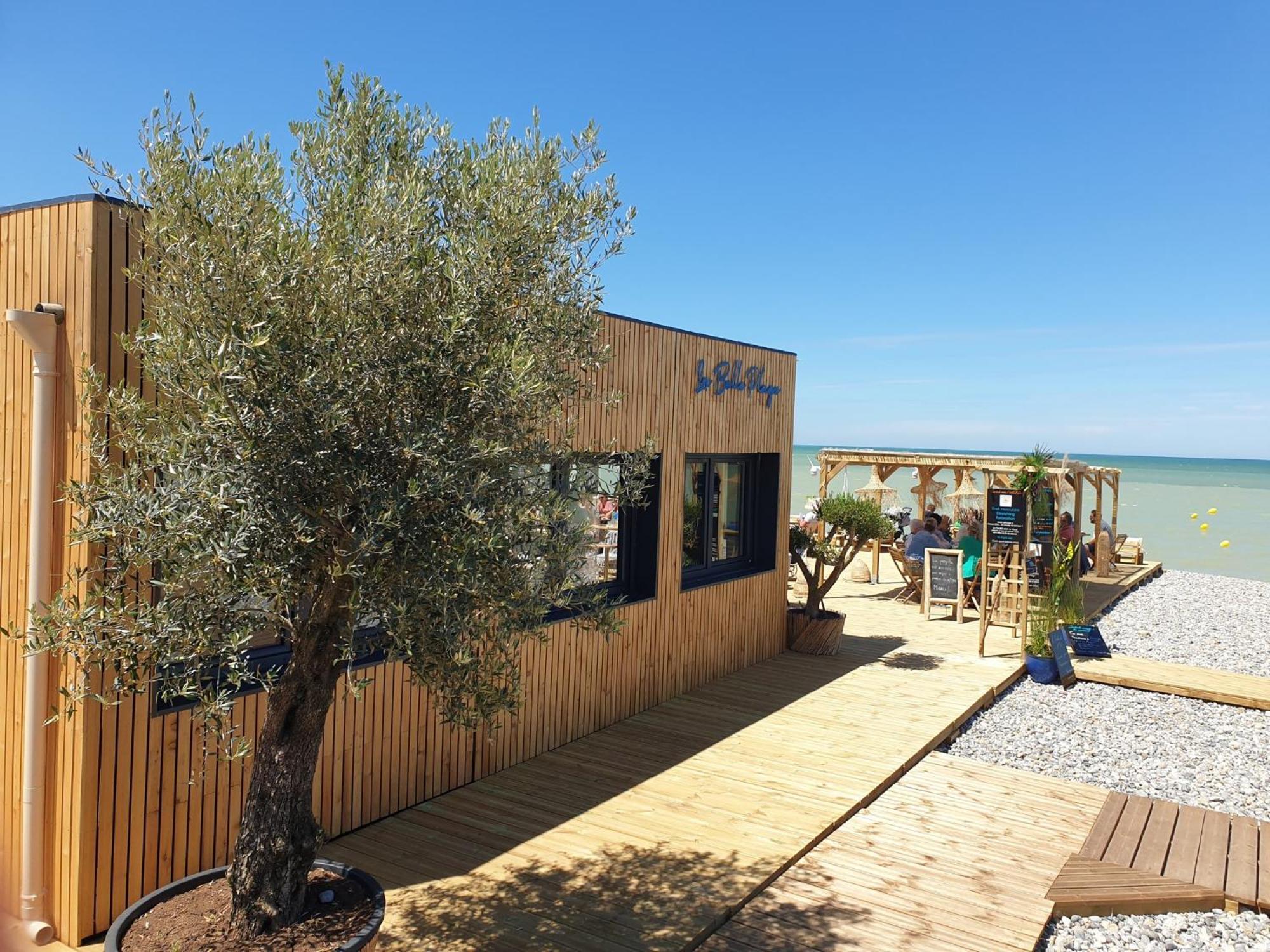 מרס-לה-באן "Le Juguili" 46M2 En Front De Mer - 4 Personnes - Animaux Ok - Entierement Renove - Haut De Gamme - Wifi מראה חיצוני תמונה